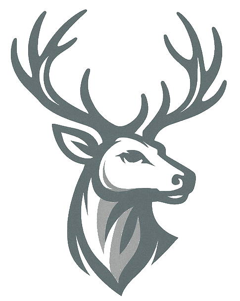 Silver Stag Advisory Group LLC